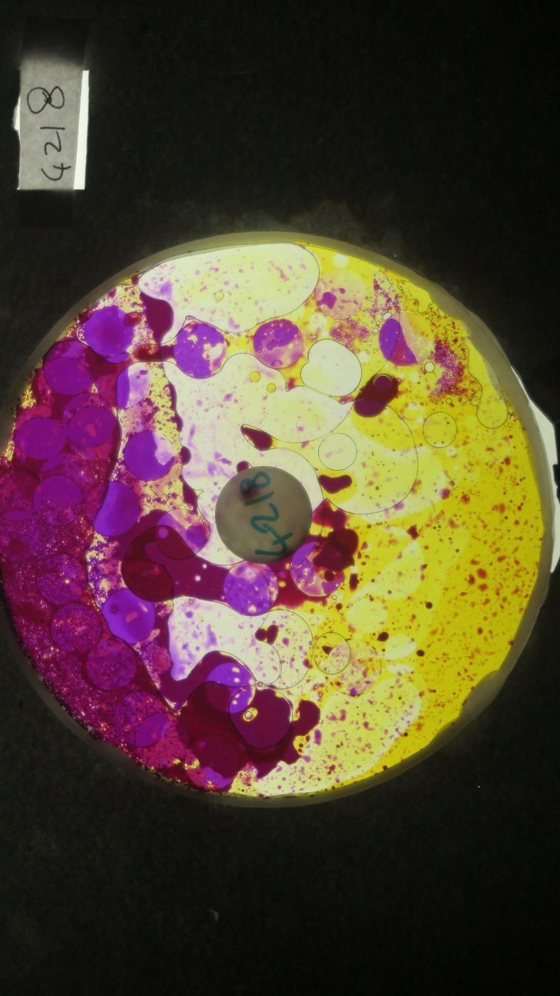 BV4218 bubble vision oil wheel